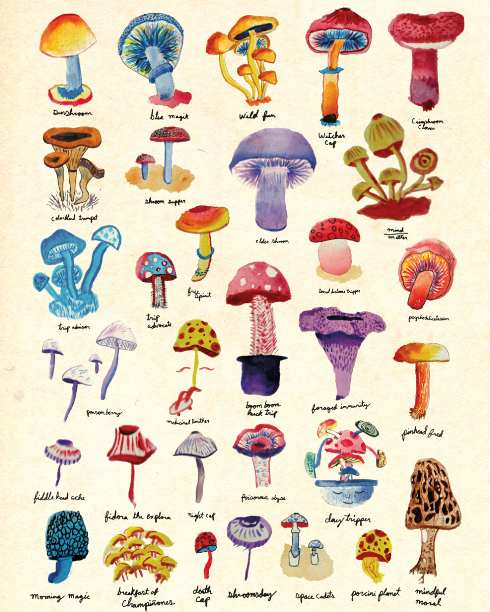 Mushroom field guide print